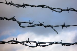 Колючая проволока: История, применение и значение