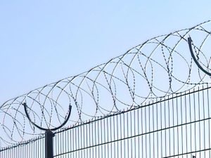Где купить колючую проволоку: как выбрать качественный товар и не ошибиться с поставщиком