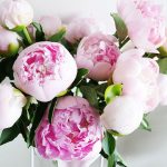 Как выбрать цветы на все случаи жизни.