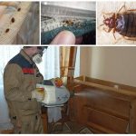 Уничтожение клопов