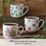 Сапалы фарфордан жасалған ыдыстарды таңдаудың 7 ережесі