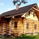 Құрылыс материалы ретінде ағашқа шолу.