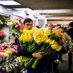 Доставка огромных букетов в Лос-Анджелесе: как заказать идеальный подарок для особого случая