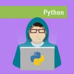 Кто такой Python-разработчик: роль, навыки и перспективы
