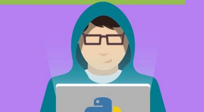 Кто такой Python-разработчик: роль, навыки и перспективы